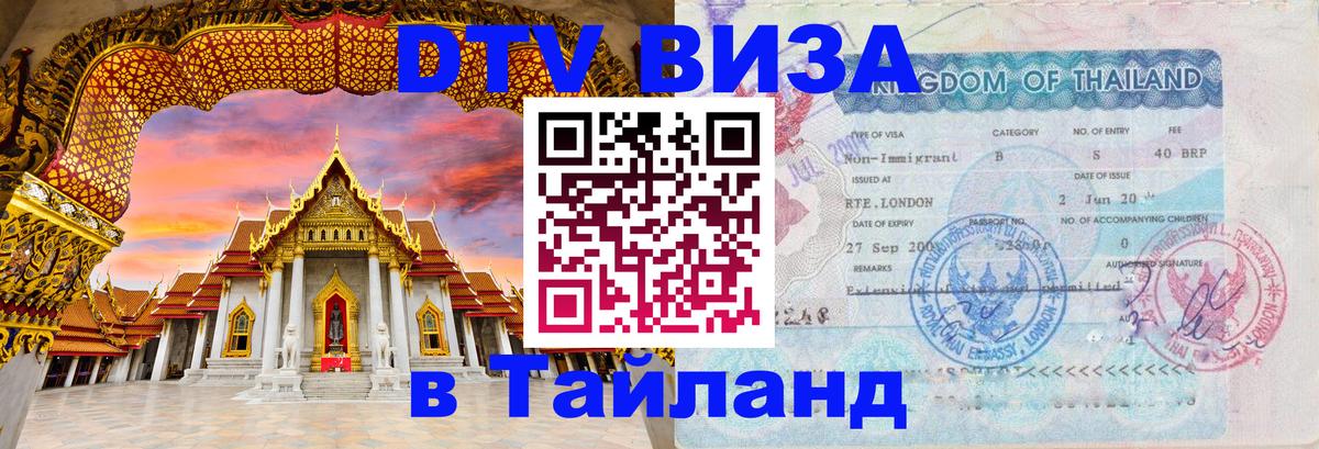 Оформление DTV визы под ключ: стоимость и тарифы, только загранпаспорт - 07.01.2026 